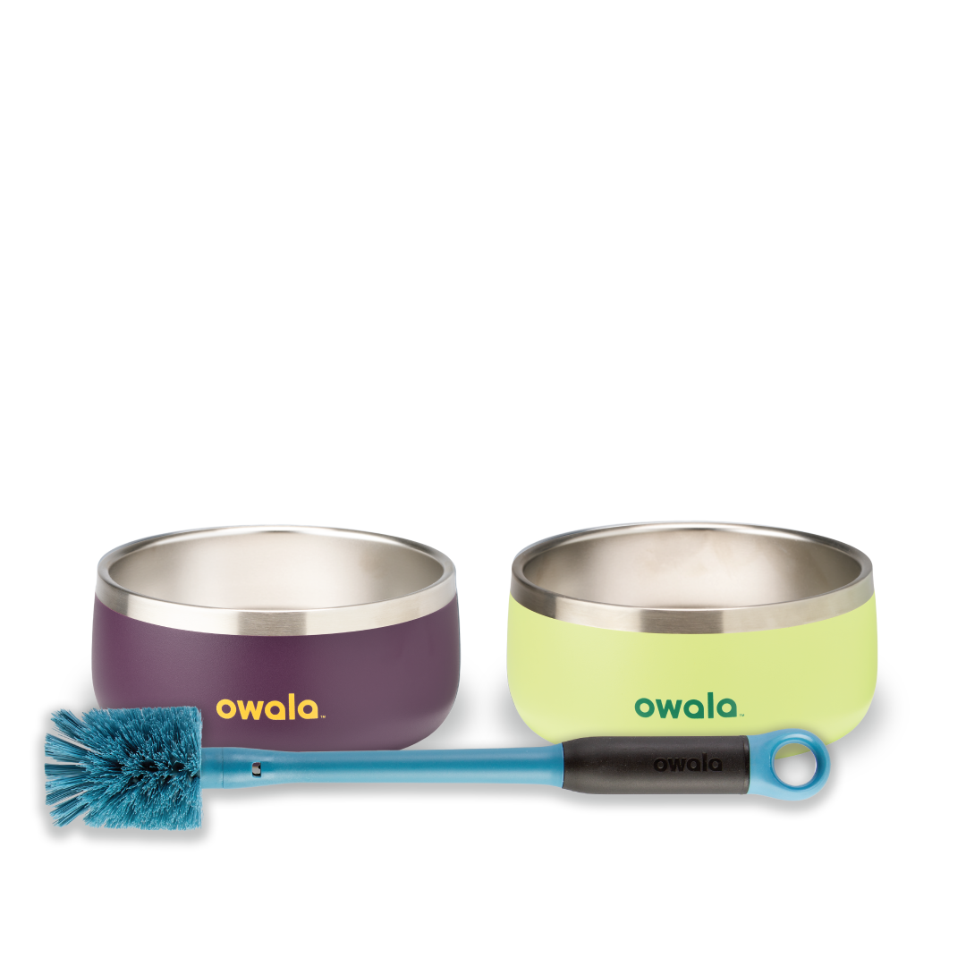 Pet Bowl Bundle B0E