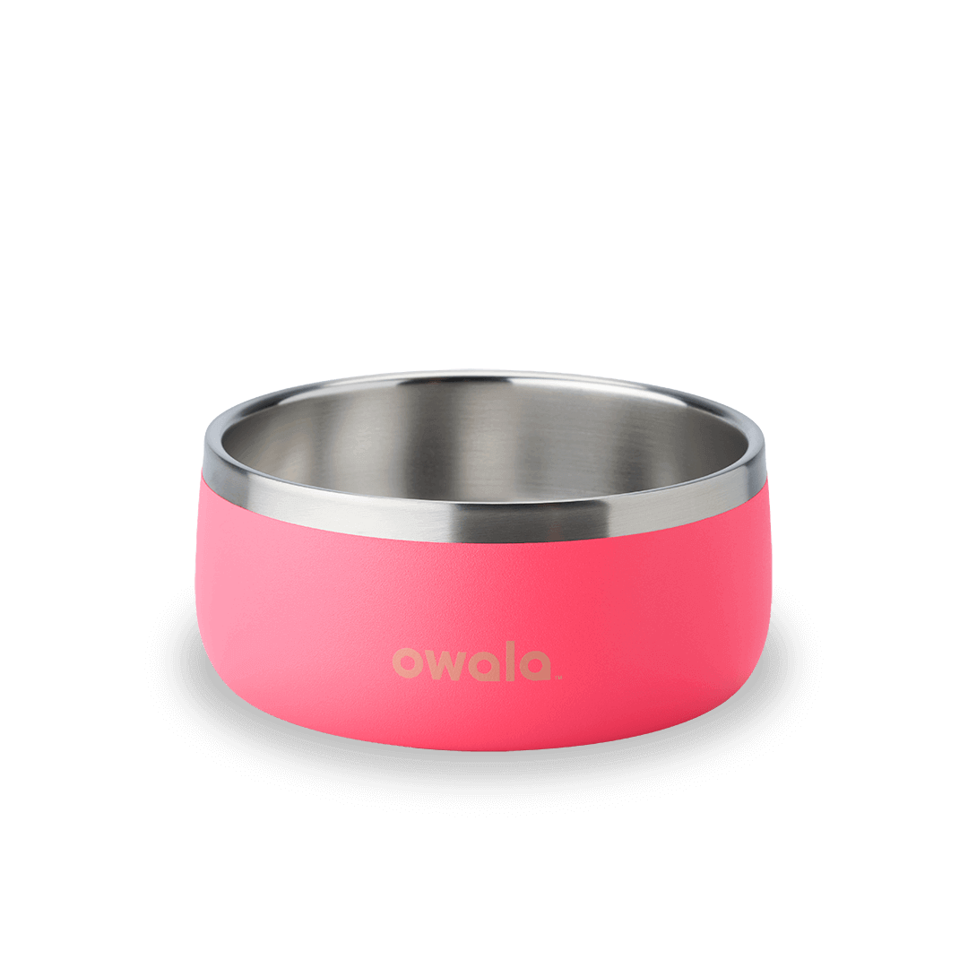 Pet Bowl JEA